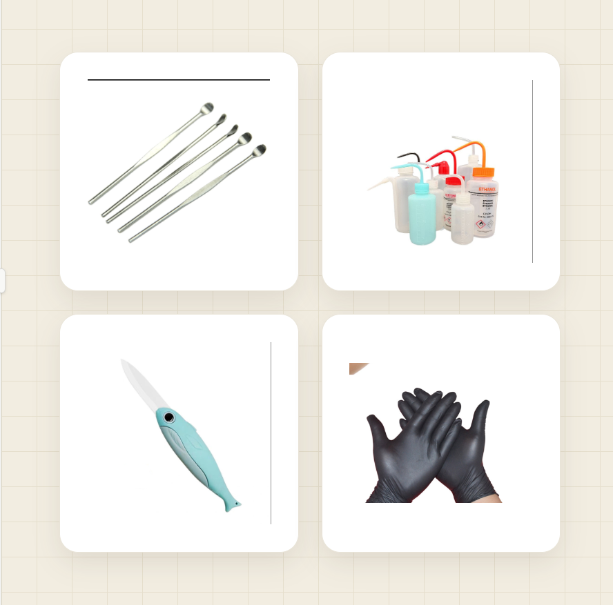 Disposable pipettes, droppers and lab accessories, gloves for safety